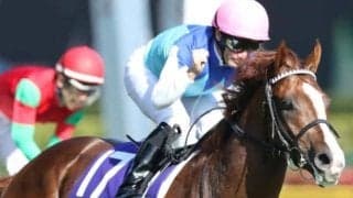 「本家」友道厩舎のアドマイヤマーズ産駒 グティがデビュー勝ちなるか