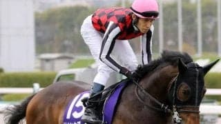 函館芝は「4角先団」が必須？ パワー兼備のリカンカブールが内から抜け出す