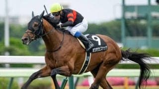 【AI予想・函館記念】今夏の重賞では4歳馬に注目!? 本命は重賞未勝利もGIレベルのポテンシャルを秘める逸材