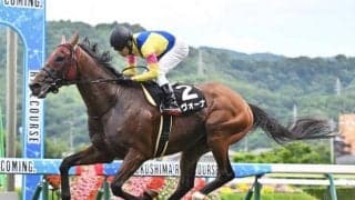 【今日の注目ポイント】函館開催を締め括るハンデ重賞・函館記念