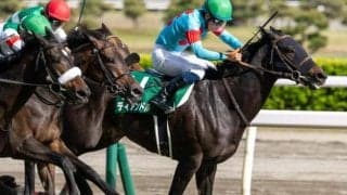 半姉は重賞2勝のディアンドル オーデンヴァルトは既走馬相手にデビュー勝ち狙う