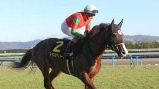 函館記念は高額配当必至の夏の名物重賞 穴党記者は洋芝適性高い伏兵２頭の大駆けを確信