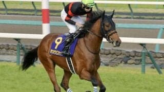 【函館記念予想】荒れる重賞の傾向をあぶり出せ！ 過去データで探るGIII函館記念