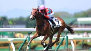 【函館1R】武豊騎乗 ドゥアムールが初勝利…兄弟にはビアンフェなど