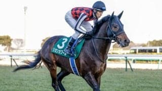 函館芝は内＆前ベター エンパイアウエスト＆リカンカブールが狙い目だ