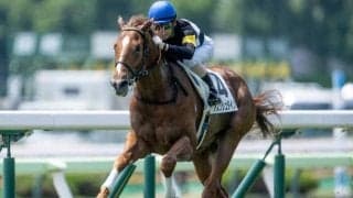 【函館5R新馬戦結果】ドゥラメンテ産駒アスクシュタインが逃げ切り勝ち