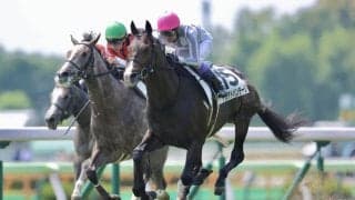 【函館6R】武豊ドウアドバンテージが初勝利