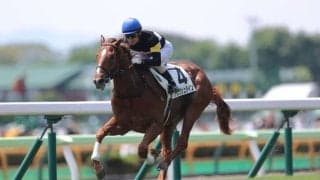 【新馬/函館5R】ドゥラメンテ産駒 アスクシュタインがデビュー勝ち