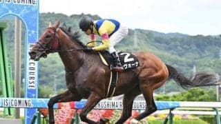 【函館記念・馬体重】サヴォーナは530kg(-2)、ホウオウビスケッツは506kg(-4)