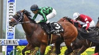 【JRA・WIN5】本日のWIN5は的中14票、配当3110万2690円