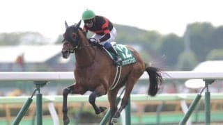 【函館記念】ホウオウビスケッツが重賞初制覇