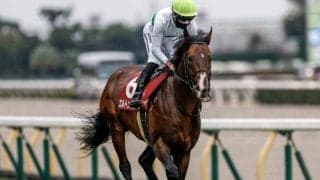 【中京記念】エルトンバローズ、セオらが登録