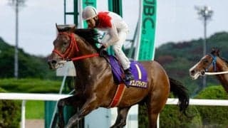 【佐賀王冠賞結果】アエノブライアンが断然人気に応え重賞初V