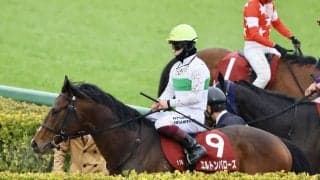 【中京記念登録馬】エルトンバローズなど16頭