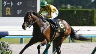 【中京記念見どころ】連勝で臨むセオの勢いに注目だ