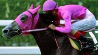 7月15日は世界ありがとうの日 「サンキュー」と名が付く馬は数多く