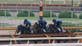 GI・2勝で種牡馬としても活躍中スワーヴリチャードの姪 セレーネアステールが小倉で初陣へ/関西馬メイクデビュー情報