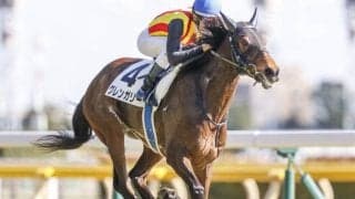 【先週のJRA抹消馬】芝中距離や障害で活躍のグレンガリー、ダート短距離で3勝挙げたユウグロスファクタなど