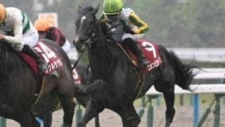 【AI予想・中京記念】年齢別では5歳馬が圧倒的な良績を残す！ 条件好転で反撃必至の本命候補