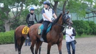 母は牝馬重賞路線で活躍のタッチングスピーチ 良血馬ヴィジョンメーカーが福島で初陣/関東馬メイクデビュー情報