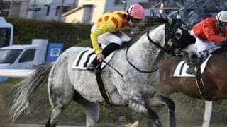 【船橋・習志野きらっとスプリント枠順】昨年のJBCスプリント3着馬リュウノユキナは4枠5番