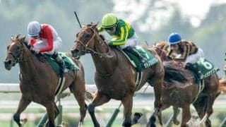 世代最初の重賞勝ち星を手にしたサトノカルナバル 血統背景には名だたるGI馬との共通点も