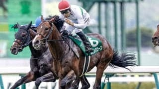 【中京記念想定騎手】エルトンバローズは西村淳也騎手、セオは岩田康誠騎手