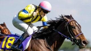 希少な一族の末裔にあたる名種牡馬「モンズーン」 日本の活躍馬にも血を継ぐ一頭を深掘り