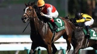 今週札幌で開催されるのはTVh賞？ TVh杯？ 北海道開催に多数存在する“冠レース”