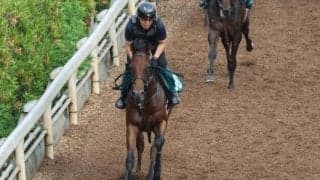 マイベストダンサーなど、先週のゲート試験/栗東トレセンニュース