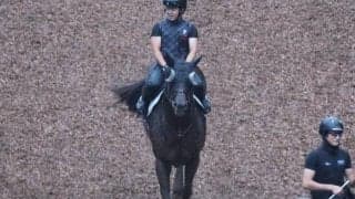 ドンフランキーなど、先週の入厩情報/栗東トレセンニュース