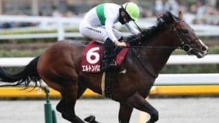 昨年重賞2連勝を果たした実績馬が輝きを取り戻すか 中京記念で復活を狙う