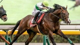 【中京記念予想オッズ】エルトンバローズが予想1番人気