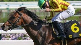 連勝で中京記念に挑む“堅実派” 14年天皇賞(春)覇者で父のスピルバーグに初タイトルを届けるか