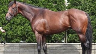 昨夏から30kg近く馬体成長 “ベストマッチ”な小倉1800mの中京記念で初タイトルへ