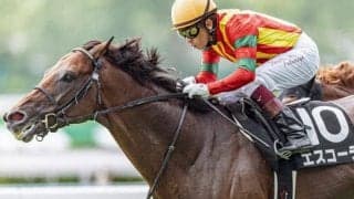 3戦3勝の小倉で素質開花なるか サリオス、サラキアの弟が中京記念で初タイトル狙う