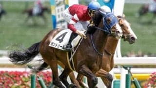 【クイーンS想定】ボンドガール、スタニングローズなど14頭