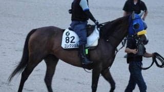 コンクシェル、クイーンS1週前追い切り速報/栗東トレセンニュース