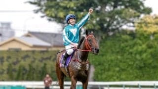 ロマンチックウォリアーが年度代表馬に 香港の2023/24年シーズン終わる