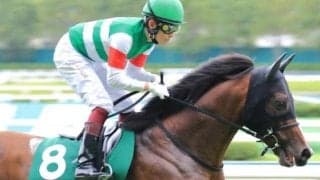 【中京記念予想】AI推奨馬は二桁人気濃厚か 小倉開催を味方につける注目の一頭とは