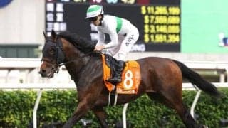 【中京記念出走馬・騎手確定】エルトンバローズ＆西村淳也騎手、セオ＆岩田康誠騎手など14頭