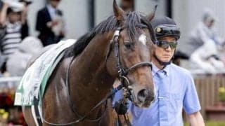 武豊騎手がしらかばS初制覇へ ゾンニッヒとのタッグで今年こそ