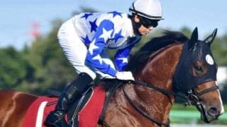 テイオーと同じ血を引く大器 ロバートソンキーがダートで1年半ぶりの復帰戦