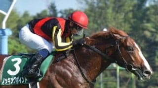 昨年の新潟記念覇者ノッキングポイントが引退 今後は乗馬に