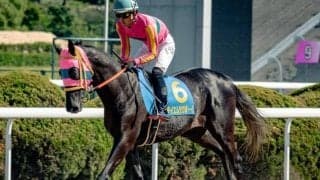 父は重賞2勝のテイエムジンソク オーナー自家生産の九州産馬がひまわり賞でJRAに挑戦
