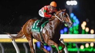 【船橋・習志野きらっとスプリント結果】エンテレケイアの6馬身差圧逃劇！重賞初勝利を挙げる