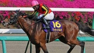ダービー馬や皐月賞馬を輩出する名牝系の良血馬 新馬Vを決めてクラシック候補に名乗りを上げるか