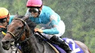 宝塚記念覇者ブローザホーンの半妹が待望の初陣 遅咲きの一族から再び大物誕生となるか