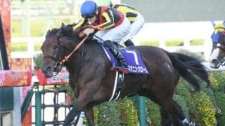 【クイーンS想定馬・騎手】スタニングローズ、ボンドガールなど14頭