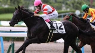 “チーム・ヨカヨカ”が再び九州産馬の頂点へ 「敬天愛人」を胸にひまわり賞から快進撃を目指す